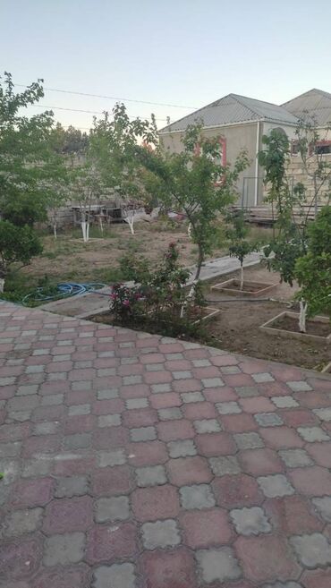 Bağ evlərinin kirayəsi: Mərdəkan, 250 kv. m, 7 otaqlı -da lalafo.az — 4 Bağ evlərinin kirayəsi: Mərdəkan, 250 kv. m, 7 otaqlı — 4