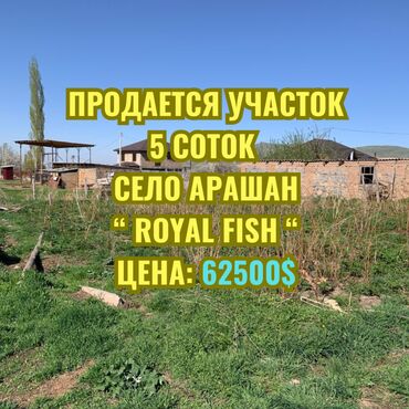 жер ак орго: 5 соток, Курулуш, Кызыл китеп, Сатып алуу-сатуу келишими