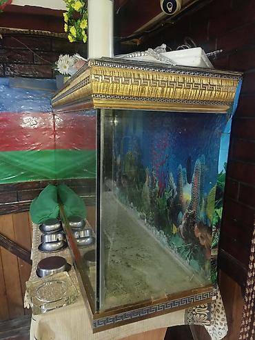 100 l akvarium: Salam. Akvarium satılır. Çok gözəl akvariumdu. Barter de olunur — 3