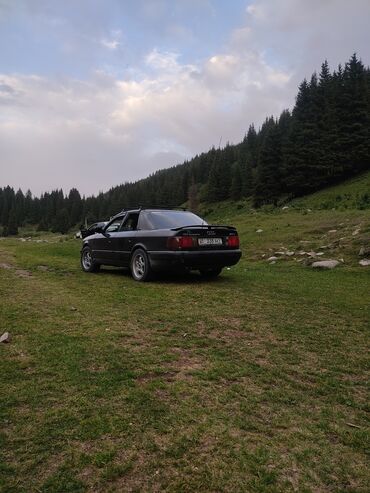Audi 100: 1992 г., 2.3 л, Механика, Газ, Седан