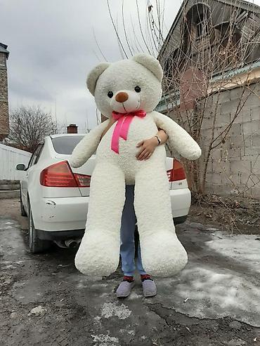 домик kg: Мишки продаётся размер 1,50см. Очень хороший ручной — 2