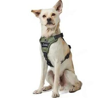 Oprema za kućne ljubimce: Hunter neoprensko oprsnik za pse – vojno zelena boja - Ergonomskog Y — 17