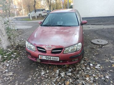 нисан инфинити: Nissan Almera: 2001 г., 2.2 л, Механика, Дизель, Хетчбек