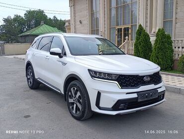 runx alex: Kia Sorento: 2020 г., 2.2 л, Автомат, Дизель, Кроссовер