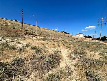 Torpaq: 8 sot, Tikinti, Makler, Kupça (Çıxarış) — 6