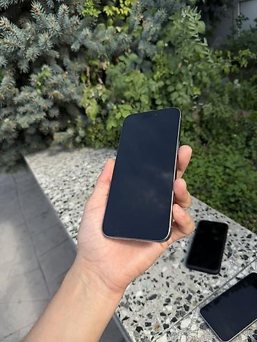 Apple iPhone: IPhone 14 Pro Max, цвет Silver (серебристый) - Корпус из матового — 5