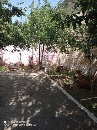 Bağ evlərinin kirayəsi: 1000 kv. m, 6 otaqlı, Hovuzlu, Artezian quyusu, İnternet, Qaz — 6