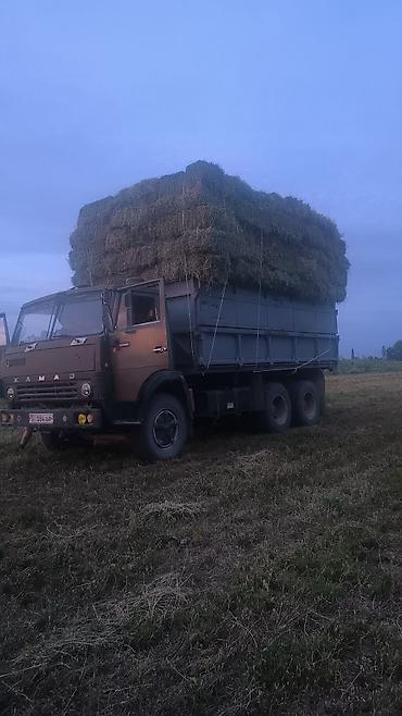мишка б у: Заказать Камаз, Вывоз строй мусора — 6