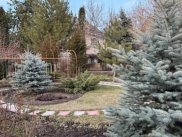 Үйлөр: Уютный дом с садом у гор — всего в нескольких минутах от города! — 9