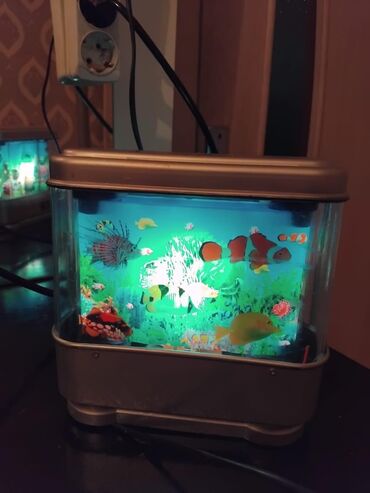 Akvariumlar: Təcili 1 ədəd içində balıq fiqurları olan dekor lampa akvariumu