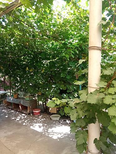 Продажа коттеджей и домов: Продаётся дом, 80 кв. м. 6 комнат, кирпичный, тёплый. Хозпостройки — 26