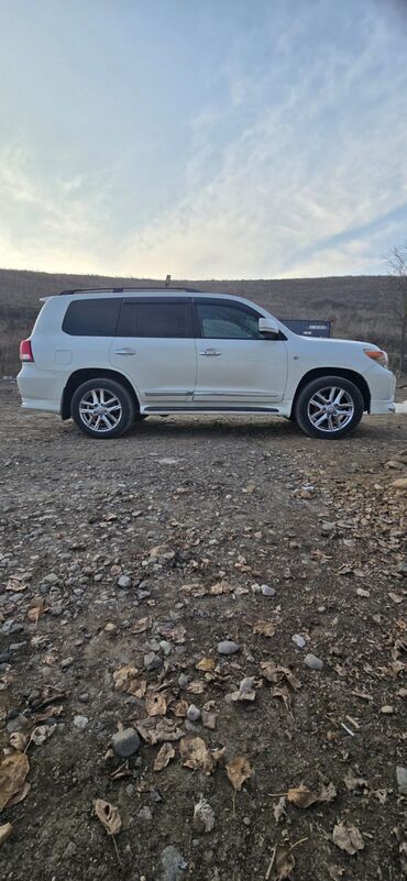 Toyota: Toyota Land Cruiser: 4 l | 2010 il Ofrouder/SUV — 6