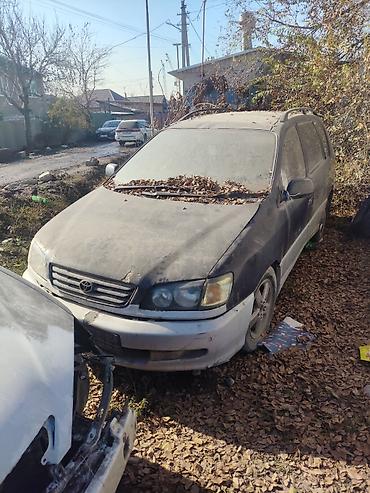 Другие детали кузова: Toyota Ipsum — на разбор - Кузов: универсал/минивэн, 5 дверей. Цвет — 6