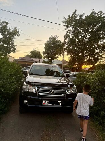 купить машины: Lexus GX: 2010 г., 4.6 л, Автомат, Бензин, Внедорожник