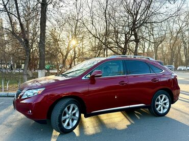 Lexus: Lexus RX: 2010 г., 3.5 л, Бензин, Кроссовер — 1