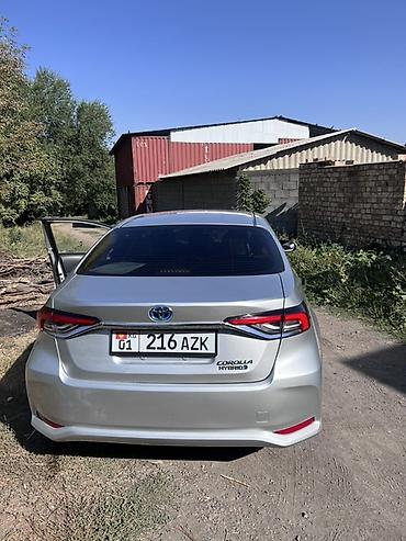 prius plus: Toyota Corolla: 2019 г., 1.8 л, Вариатор, Гибрид, Седан — 1
