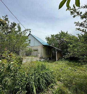 Продажа дачи: 🏡🔥 ПРОДАЁТСЯ ДАЧА В ТАШ-МОЙНОКЕ! ДТ: «Мичуринец» 🌿 💥 Участок — 6 — 11