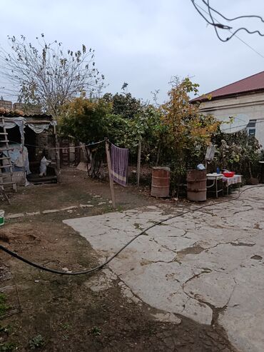 Həyət evləri və villaların satışı: Satılır: Ünvan Salyan Rayon Taleh Davudzade küçəsi Pambıq Zavodu — 8