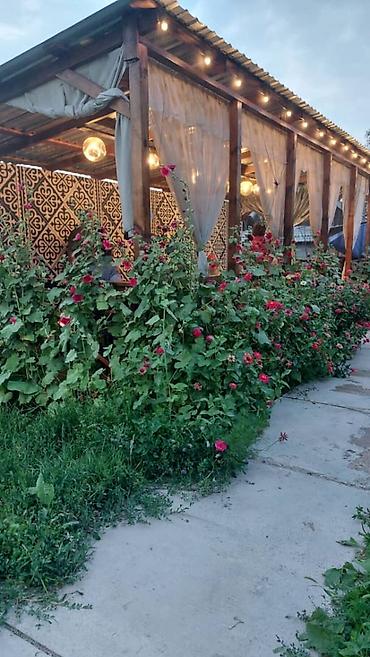 Продажа коттеджей и домов: 🏡 **Продаётся дом в Новопокровке** 📍 Локация: с. Новопокровка, между — 9