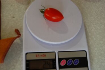 Другие услуги: Ищу бизнес партнера, инвестора, для выращивания овощей (открытый — 27