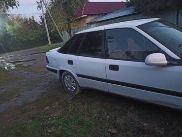 коврик на панель авто: Daewoo Espero: 1994 г., 1.6 л, Механика, Бензин, Седан