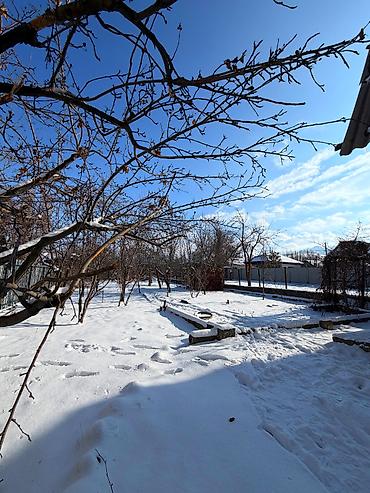 Продажа домов: Дача, 20 м², 2 комнаты — 13