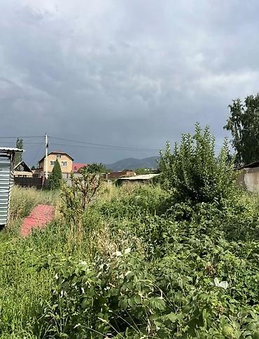 бир: 8 соток, Курулуш, Кызыл китеп — 6