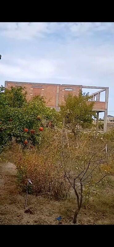 Torpaq sahələrinin satışı: Tikinti, Mülkiyyətçi, Kupça (Çıxarış)
