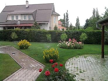 комн цветы: Ландшафтный дизайн и уход за садом Профессиональное обустройство — 1