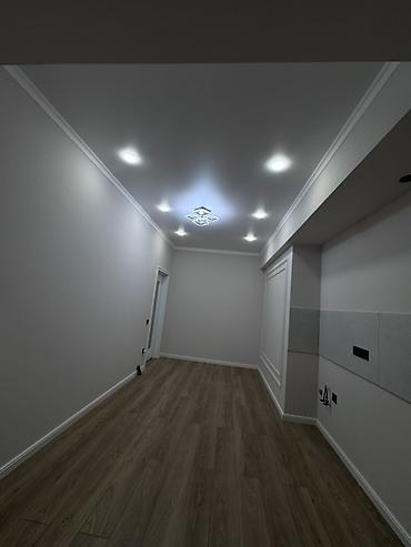 45: 1 комната, 45 м², Технопарк Элитка, 12 этаж, Евроремонт — 4