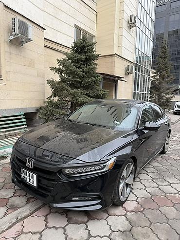 Органайзеры: Органайзер цвет - Черный — 9