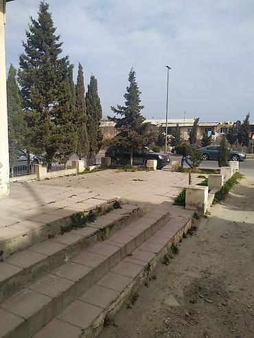 Продажа коммерческой недвижимости: Təcili!!! Razilaşma yolu ilə 17m/r, İsmət Qayıbov küçəsi, 35 kv, Yol — 9