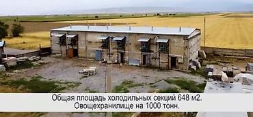 Продажа складов и мастерских: Сдаю ; Склады и Овощехранилище с секциями, можно под склад ( на любой — 1