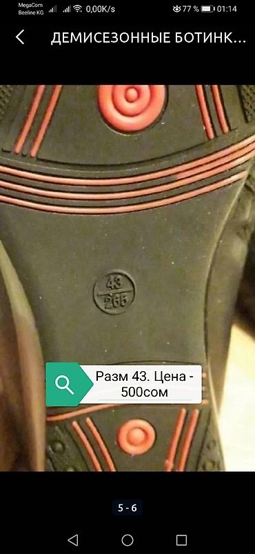 Туфли: Балетки, сапожки деми, туфли. Сабо. Балетки новые кожанные — 4