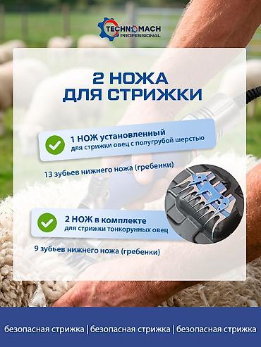 Товары и оборудование для с/х животных: Овцестрижка, которая не греется при работе! ⠀ В компании «Техномаш» — 6