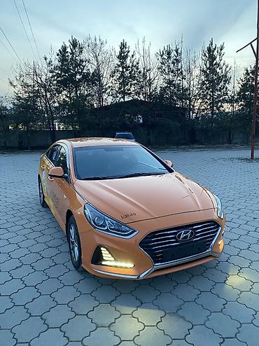 Hyundai: Hyundai Sonata: 2019 г., 2 л, Автомат, Газ, Седан — 6