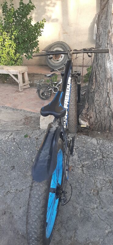 Şəhər velosipedləri: Şəhər velosipedləri