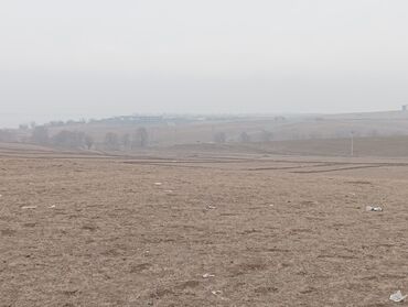 Продажа участков: 1300 соток, Для сельского хозяйства, Договор купли-продажи — 10