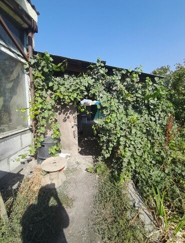 Продажа домов: Дом, 50 м², 3 комнаты, Агентство недвижимости, Косметический ремонт — 14