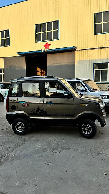 Microcar: Microcar : 2026 г., Электромобиль, Минивэн — 27