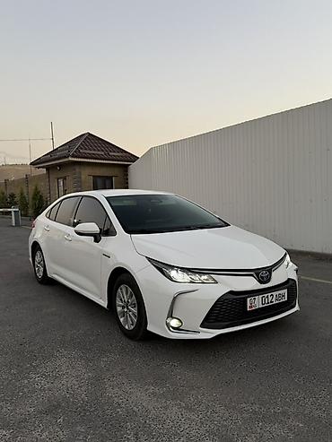 mini refrigerator: Toyota Corolla: 2023 г., 1.8 л, Автомат, Гибрид, Седан — 1