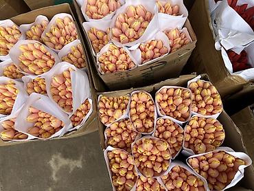 Букеты из живых цветов: Тюльпаны - Сорт: нежно-розовые тюльпаны с мягкой желтой каймой на — 11