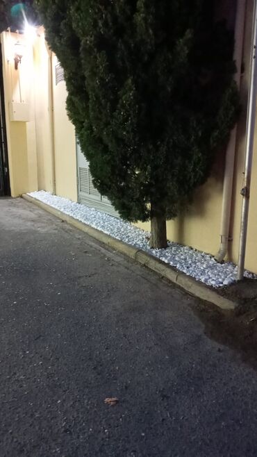 Dekorativ daşlar: Ağ daşlar.Dekorativ Ağ daşlar Təbii daşlardır.kiçik orta və böyük — 10