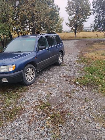 Subaru: Subaru Forester: 2001 г., 2 л, Кол менен иштөөчү, Бензин, Универсал — 4