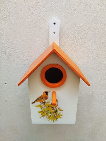 Yuvalar: Quş yuvası Sağlam və uzunömürlü ekoloji təmiz . Səliqəli və zövqlü — 3