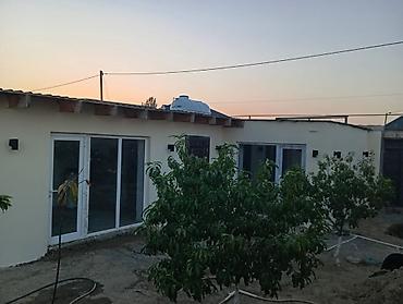 4 otaqlı ev: 1 mərtəbəli həyət evi - Həyətyanı sahə: meyvə ağacları ilə kiçik bağ — 4