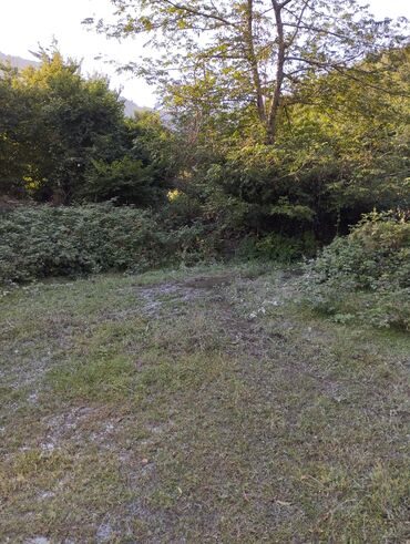 Torpaq sahələrinin satışı: Oguz Rayon Xalxal kendinde 49 sot torpaq satilir bagda qoz zogal -da lalafo.az — 5 Torpaq sahələrinin satışı: Oguz Rayon Xalxal kendinde 49 sot torpaq satilir bagda qoz zogal — 5