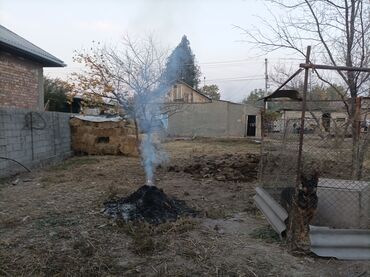 Продажа домов: Дом, 12 м², 4 комнаты, Собственник, Косметический ремонт at lalafo.kg — 5 Продажа домов: Дом, 12 м², 4 комнаты, Собственник, Косметический ремонт — 5