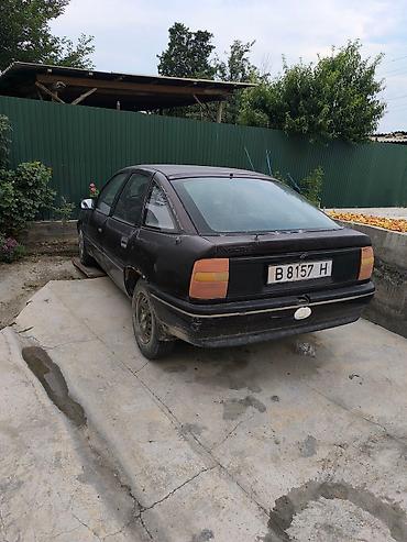 Opel: Opel Vectra: 1991 г., 1.8 л, Механика, Бензин, Универсал — 3