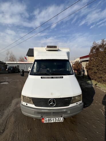 Mercedes-Benz: Mercedes-Benz Sprinter: 1999 г., 2.9 л, Механика, Дизель, Бус